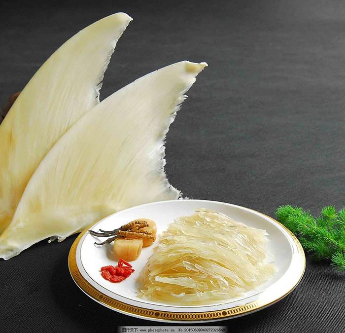 Vây cá mập thượng hạng, là món ngon xa xỉ nhưng liệu có thực sự tốt?-3