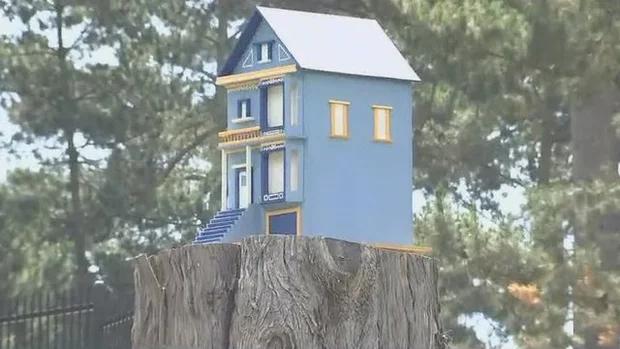 Bí ẩn ngôi nhà nhỏ bên trong công viên San Francisco-2