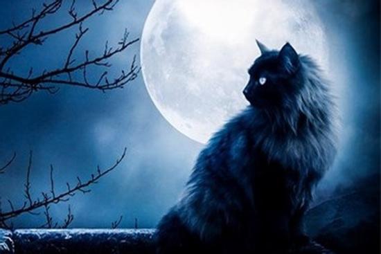 5 điều tối kỵ không được làm vào buổi tối kẻo hao tốn tài lộc