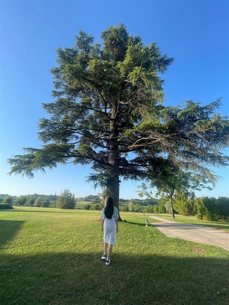 Lưu Hương Giang liên tục xả ảnh ở Ý cùng Hồ Hoài Anh và con gái-4