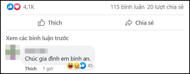 Lưu Hương Giang và vợ chồng Hồng Đăng khóa bình luận Facebook-2