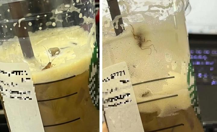 Thực khách số nhọ khóc thét vì thứ không tưởng lẫn trong đồ ăn-2