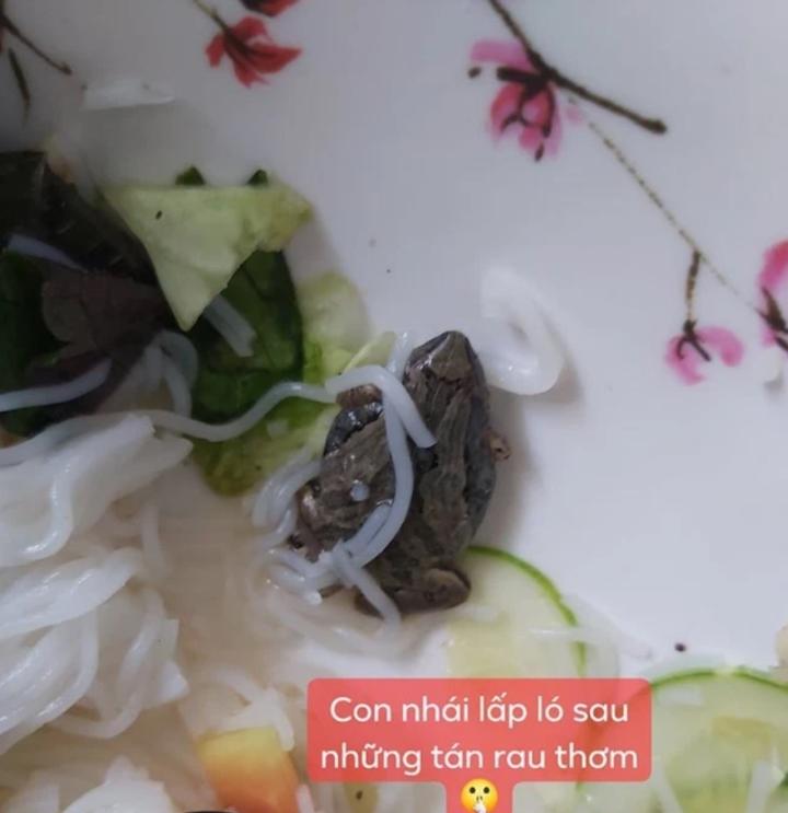 Thực khách số nhọ khóc thét vì thứ không tưởng lẫn trong đồ ăn-5