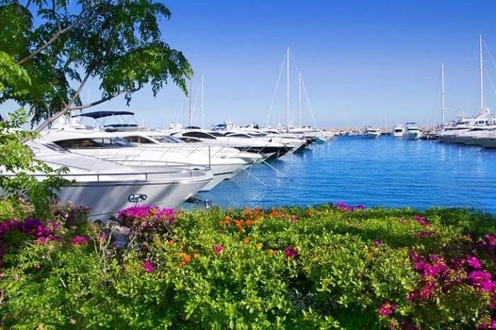 Đảo Mallorca của Tây Ban Nha có gì mà hấp dẫn giới nhà giàu đến vậy?-3