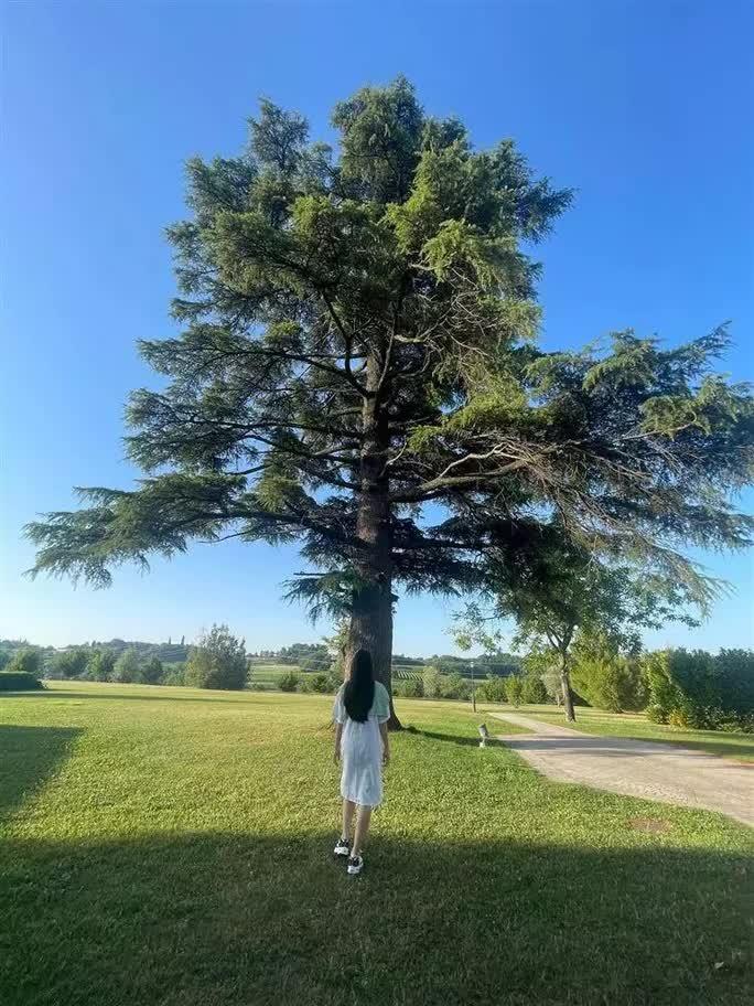 Hôn nhân kỳ lạ của nhạc sĩ Hồ Hoài Anh và ca sĩ Lưu Hương Giang-4