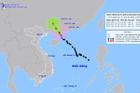 Tâm bão số 1 cách Quảng Ninh hơn 300km, nhiều tỉnh ứng phó