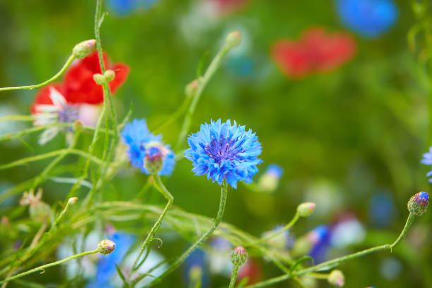 Giờ sinh của người có tài hùng biện, EQ cao, quý nhân phù trợ-2