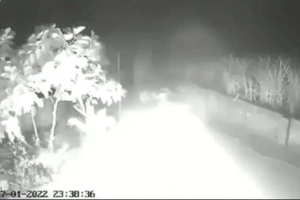 Cụ ông khóc ngất bên ruộng dưa hấu bị phá hoại khi đến ngày thu hoạch-2