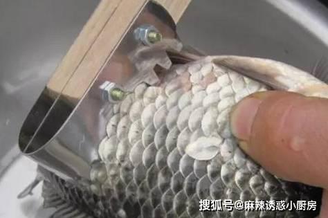 Bạn đang vứt bỏ báu vật giàu dinh dưỡng nhất của cá, sánh ngang yến sào-2