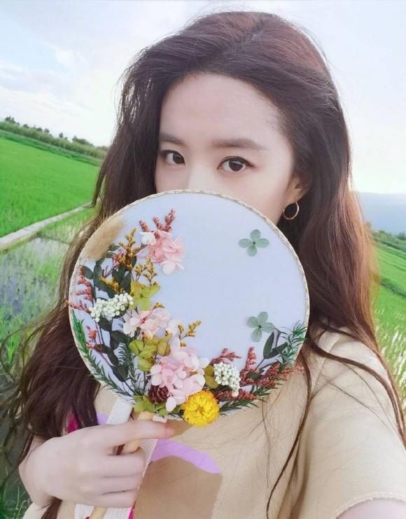 Lưu Diệc Phi tạm biệt Mộng Hoa Lục, đầu tóc tả tơi mà vẫn xinh ngất ngây-3