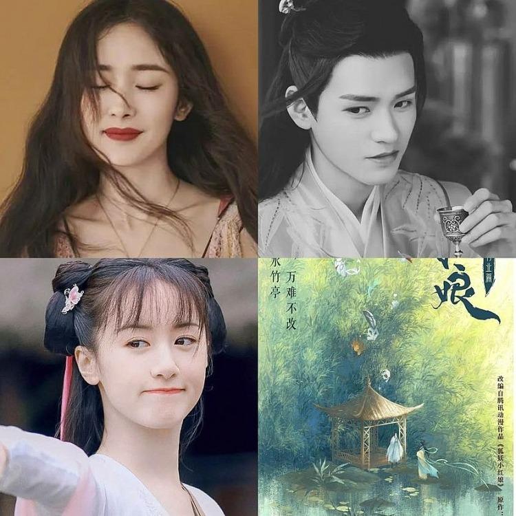 Viên Băng Nghiên trốn thuế, netizen đòi đá khỏi phim của Dương Mịch-2