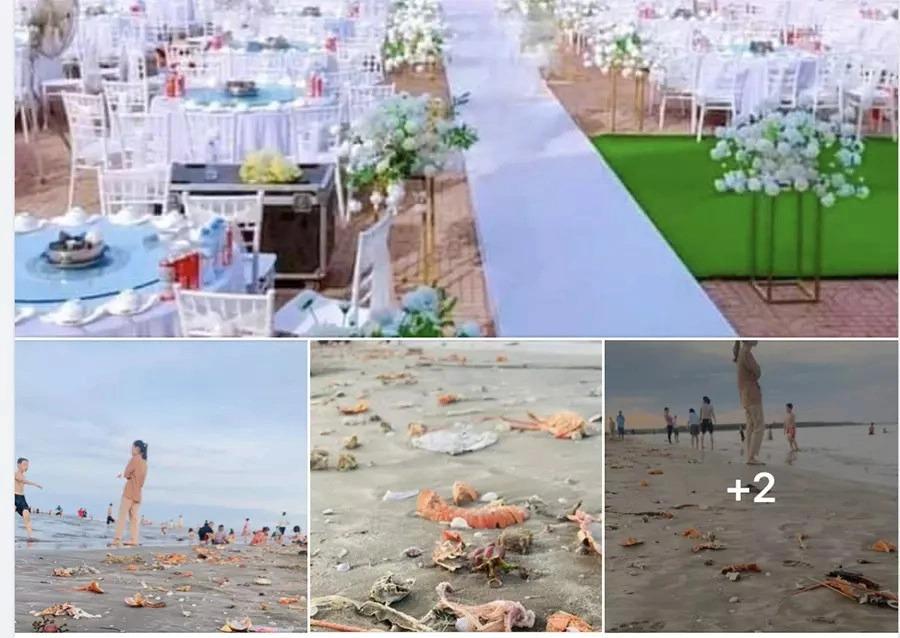 Bãi biển resort ngập rác tôm hùm, vỏ ghẹ sau một đám cưới-1