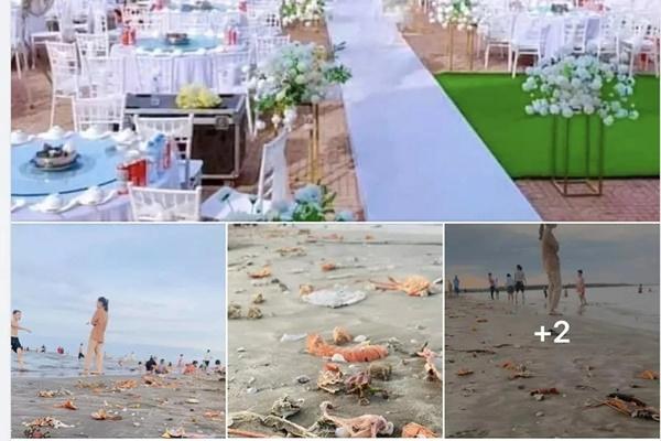 Phát hiện tôm hùm xanh, cứ 2 triệu con mới xuất hiện một con-2