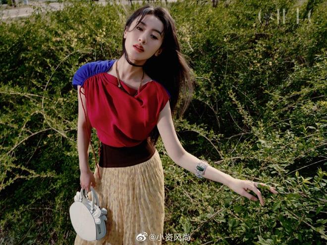 Rắc rối khi Viên Băng Nghiên bị xóa mặt, cấm sóng-11