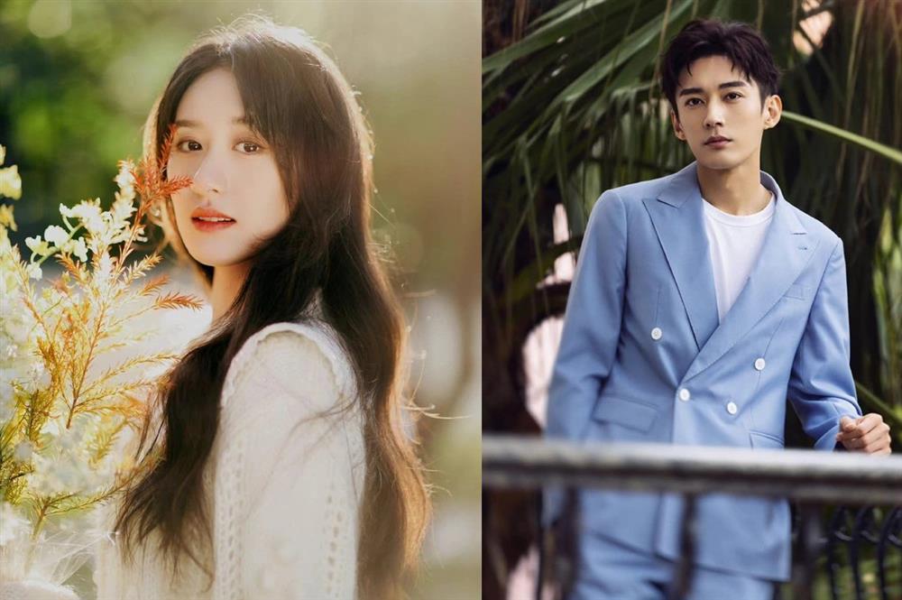 Rắc rối khi Viên Băng Nghiên bị xóa mặt, cấm sóng-8