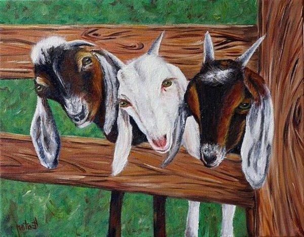 Sinh con gái thuộc 4 tuổi cha mẹ hưởng phúc lớn, tiền tài tăng ầm ầm-3