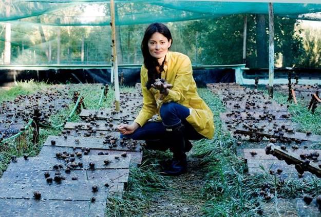 Món ốc sên không phải ai cũng dám thử của Pháp-2