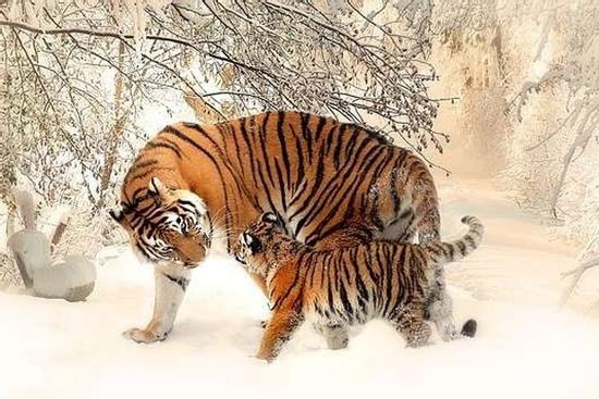 4 con giáp trong tháng 7 giàu không cản nổi