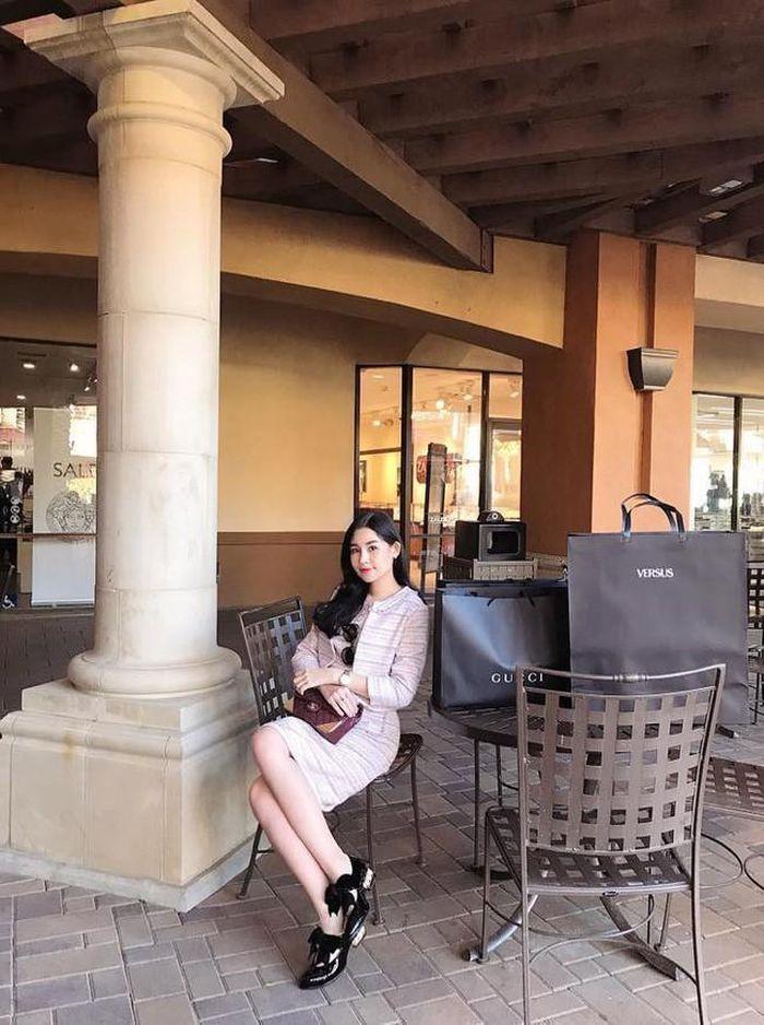 Khối tài sản kếch xù của Lê Âu Ngân Anh trước khi kết hôn-13