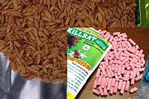 Cô giáo thúc cùi chỏ vào mặt trẻ: Thu giấy phép cơ sở mầm non-1