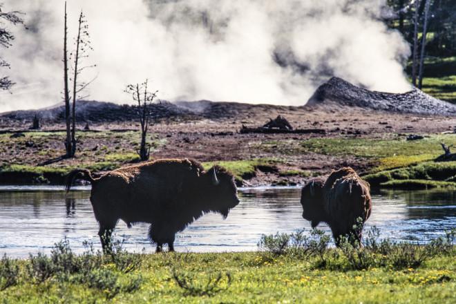 Những điều tuyệt diệu, kỳ thú trong công viên quốc gia Yellowstone-7