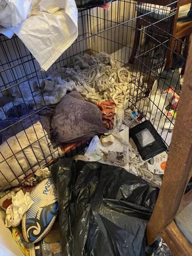 Choáng váng nơi ở của du học sinh Việt tại Nhật-10