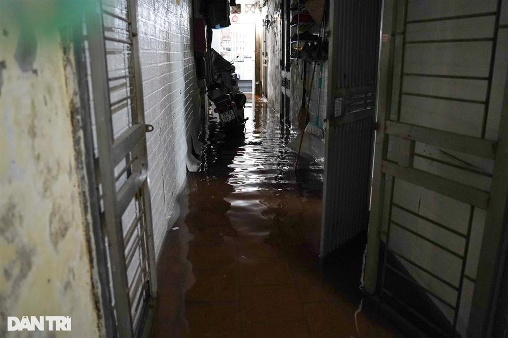 Cứ mưa là nước thối tràn vào nhà, dọn cả ngày không hết mùi cống-11