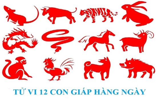 Tử vi 12 con giáp thứ Năm ngày 7/7/2022: Thân, Tý, Thìn ngoi ngóp tam tai