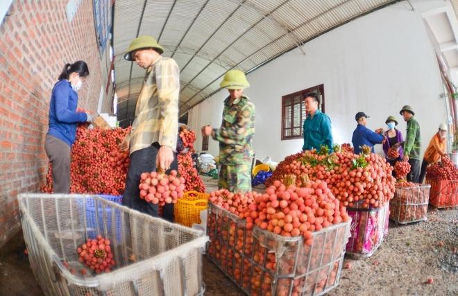 Người dân cõng vải thiều đi bán khiến đường phố đỏ rực, tắc dài-6