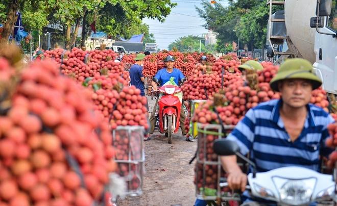 Người dân cõng vải thiều đi bán khiến đường phố đỏ rực, tắc dài-8