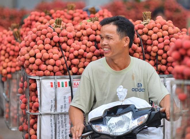 Người dân cõng vải thiều đi bán khiến đường phố đỏ rực, tắc dài-11