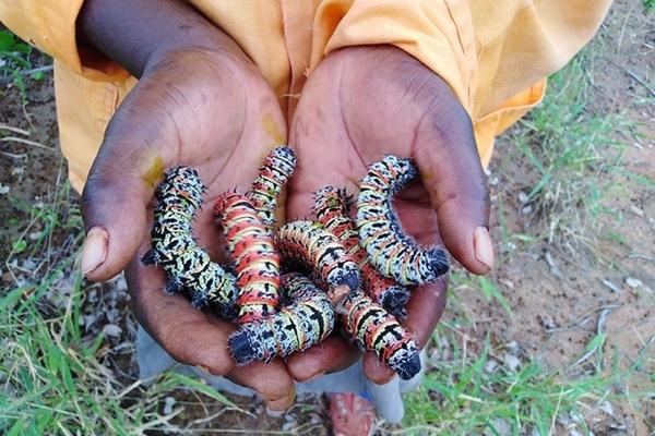 Nấu thịt bò cho một thứ vào đảm bảo ngon mềm, không mất chất-4