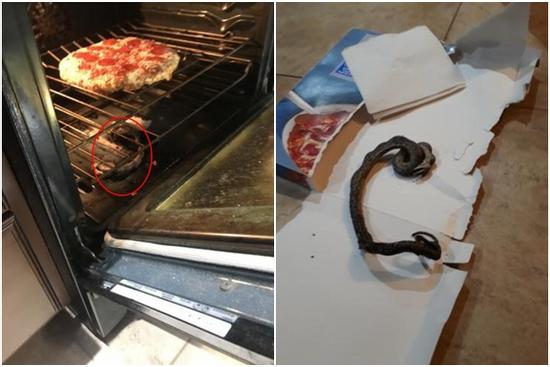 Nướng bánh thấy mùi khét, kinh hãi khi nhìn thấy sinh vật bên trong