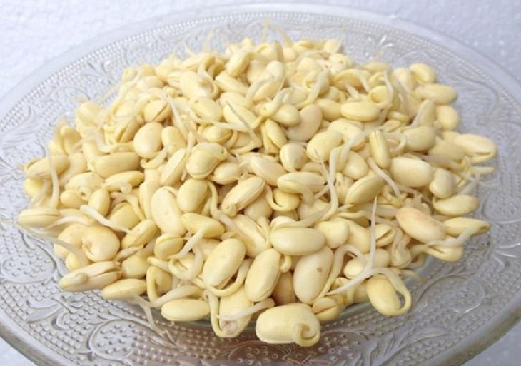 4 loại thực phẩm mọc mầm được ví như vàng, đừng dại vứt đi-1