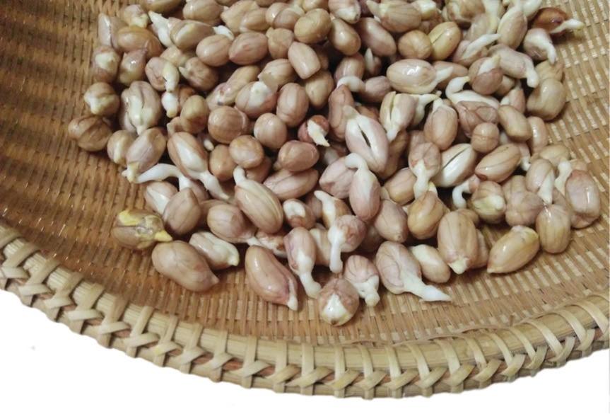 4 loại thực phẩm mọc mầm được ví như vàng, đừng dại vứt đi-3