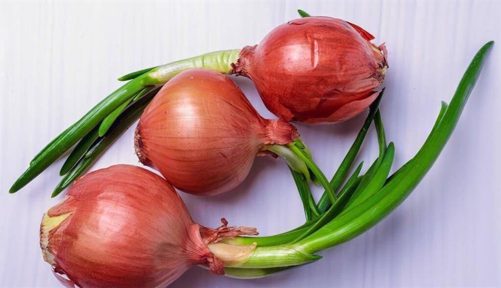 4 loại thực phẩm mọc mầm được ví như vàng, đừng dại vứt đi-5