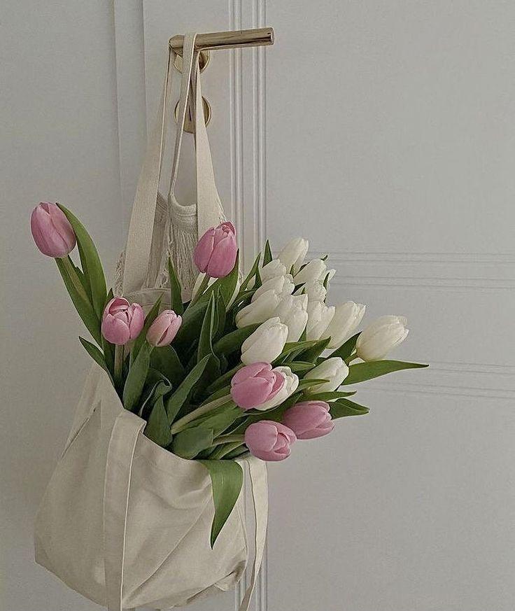 Tử vi 12 con giáp ngày 9/7/2022: Tuất nở hoa, Hợi suy vận-4