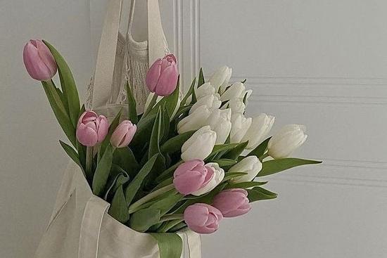 Tử vi 12 con giáp ngày 9/7/2022: Tuất nở hoa, Hợi suy vận