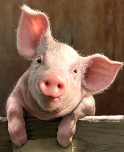 Tử vi 12 con giáp ngày 10/7/2022: Tý, Sửu gánh hạn-4