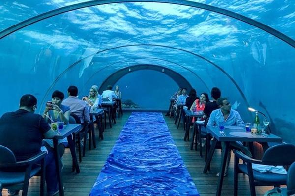 Thanh Hóa: Kỳ bí cây si hàng trăm tuổi ôm trọn ngôi chùa cổ-7