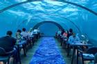 Nhà hàng dưới nước lớn nhất thế giới ở Maldives
