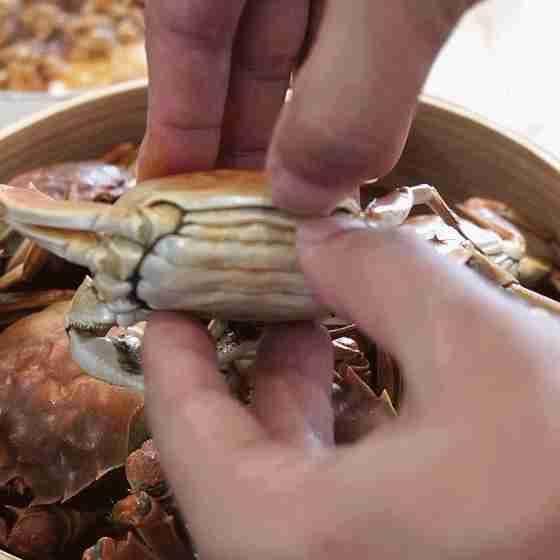 Sự khác biệt lớn giữa hấp cua nước lạnh và hấp cua nước nóng-3