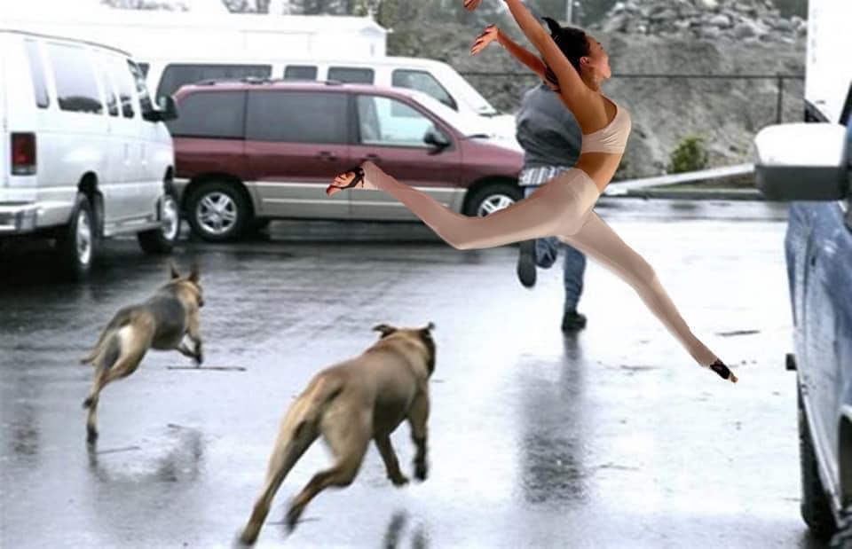 Tin showbiz Việt ngày 9/7: Diệu Nhi kêu trời khi nhờ vả photoshop-8