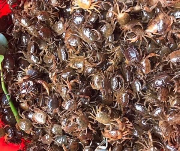 Những người này thèm mấy cũng không nên ăn canh cua-1