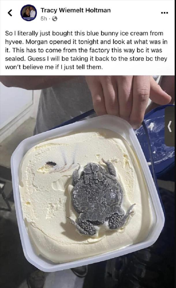 Hãi hùng hộp kem vị ếch nguyên con và sự thật gây tranh cãi-1