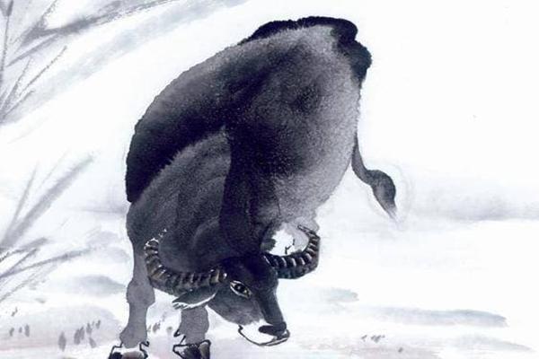 3 con giáp nữ vượng phu ích tử, ai lấy được là có phúc 3 đời-4