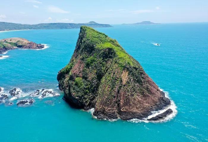 Cận cảnh rạn san hô rực rỡ hiếm gặp ở Việt Nam-2