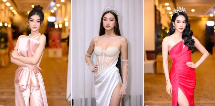 Bội thực hoa hậu ở Việt Nam-3