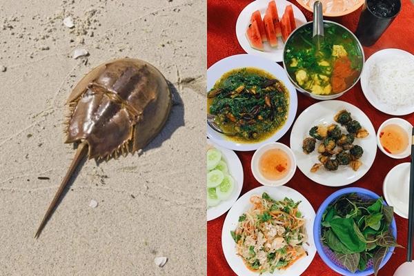 Những món hải sản nhiều độc tố đặc biệt lưu ý khi đi du lịch nước ngoài-5