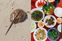 Món hải sản quý của Việt Nam không phải ai cũng từng được ăn thử